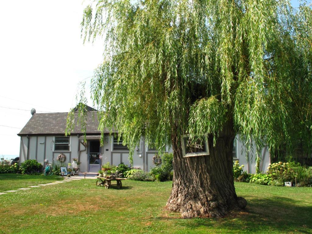 Omstead'S On Erie B&B Wheatley Exterior photo